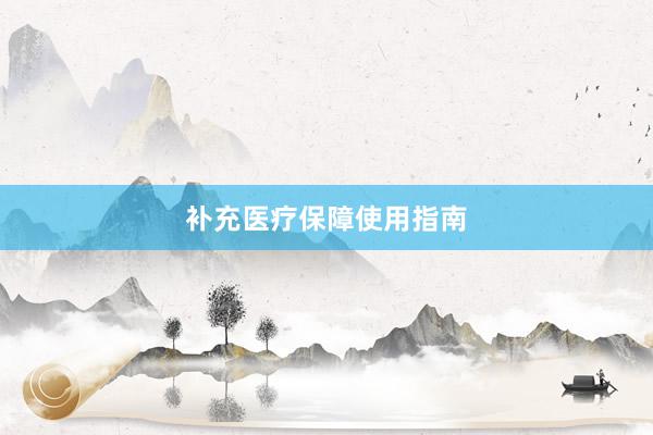 补充医疗保障使用指南