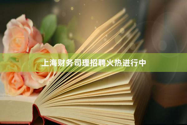 上海财务司理招聘火热进行中